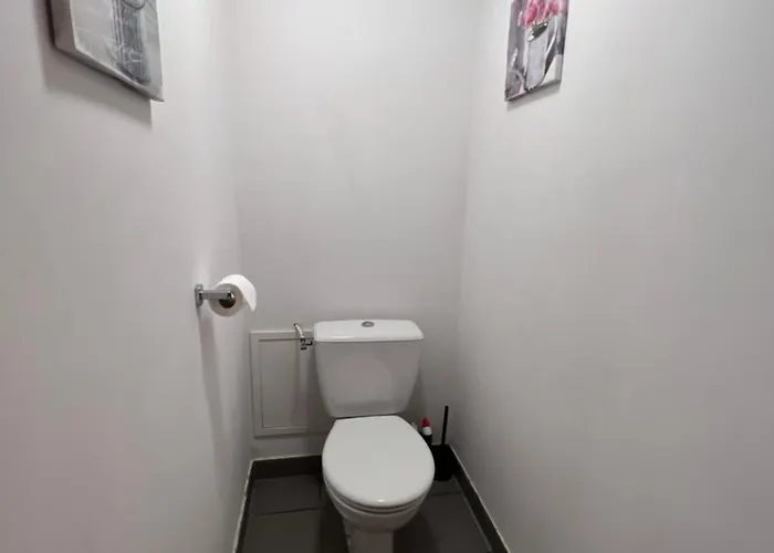 Appt Hyper-centre 4 Personnes Jardin Et Terrasse