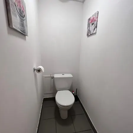 Appt Hyper-centre 4 Personnes Jardin Et Terrasse